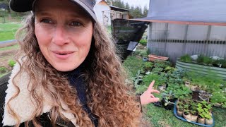 Hardening Off Hack: Sure Hope This Works! + Easy Pickling Shortcut You’ll Love | Week 4 Garden Tour