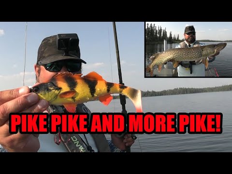 Pike Fishing in Northern Manitoba!