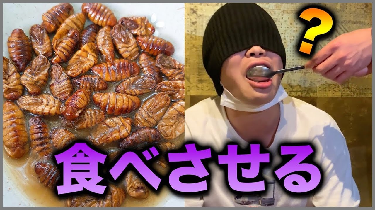 目隠しで大量の虫食べさせたら.....