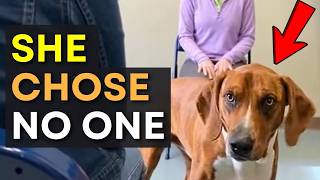 When Dogs Choose No One… 😭 Until This Moment Melts Your Heart ❤️🐶