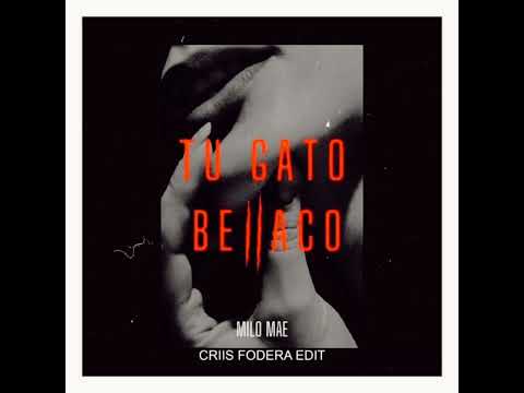 Milo Mae - Tu gato bellaco ( Criis Fodera edit)