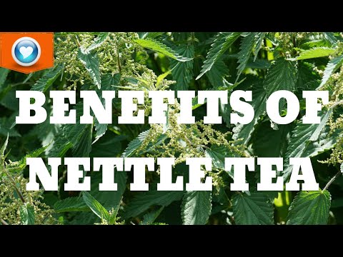 , title : 'The Health Benefits of Nettle Tea'