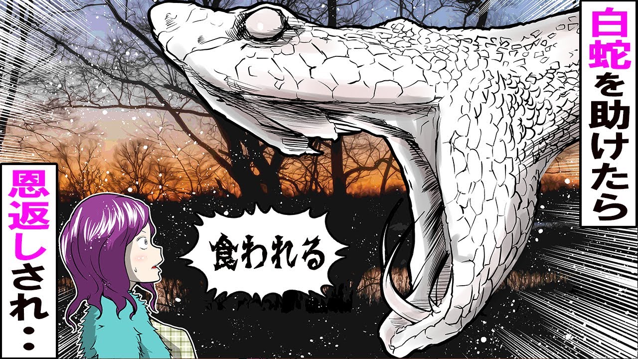 クロネコの部屋