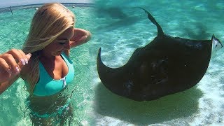 SWIMMING WITH STINGRAYS IN ANTIGUA