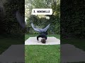 3 Breakdance Moves You Should Learn To Impress Anyone Tricking Flip Bboy Dancer Breakdance