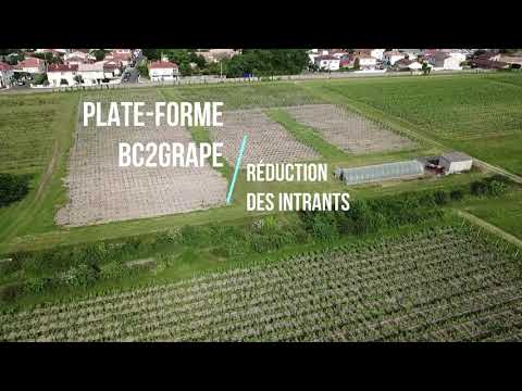 Dispositifs UEVB 2020 INRAE BDX