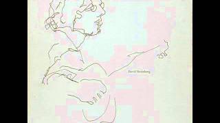 David Bromberg - Mississippi Blues