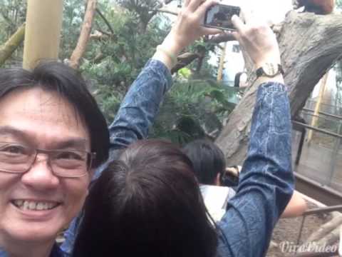 Dorcas birthday special photo MV 7/4/2015