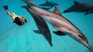 THE 2 MOST BUCKET LIST THINGS TO DO IN ZANZIBAR. Ultimate African Adventures!