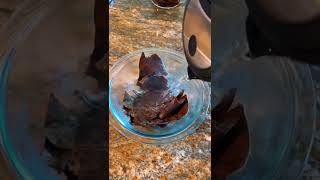 Download lagu Cara Mempersiapkan dan Menggunakan Daun Catappa untuk #blackwaterbiotope #bettatank #catappaleaves mp3