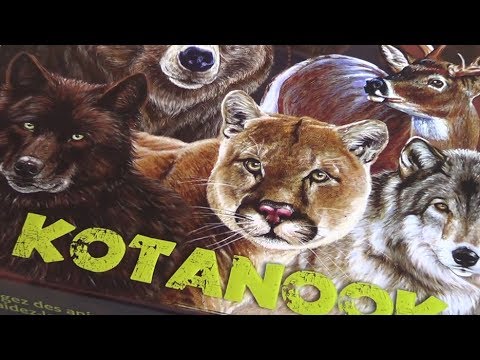 Box of Delights Presents .... Kotanook