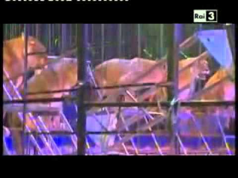 Martin Lacey Jr. - Monte Carlo 2010