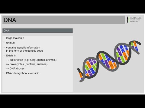 DNA - The Book of Life