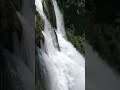 Waterfall Ytshorts Kannada Songs Love Song Shorts Ytshorts Gururaj Aditi Shortsfeed Vani Vlogs