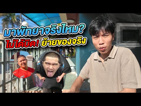 Is Yok back in Pattaya living with King...?