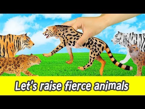 [EN] Let's raise fierce animals!! animal names for kids, kids animation, collecta #143ㅣCoCosToy