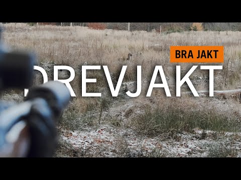 DREVJAKT x 2 - SKÅNE & STOCKHOLMS SKÄRGÅRD! | BRA JAKT