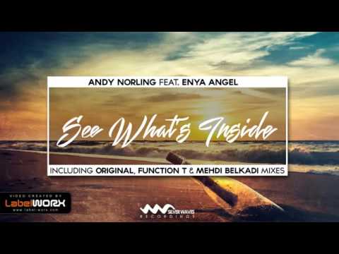 Andy Norling feat. Enya Angel - See What's Inside (Function T Remix) [Silver Waves Recordings]