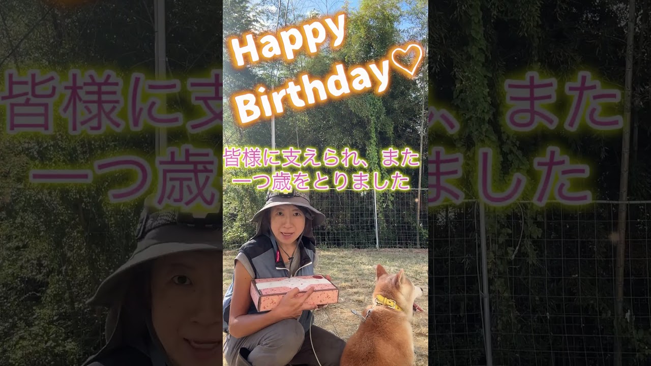 いつもありがとうございます