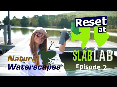 Can Science Save a Trophy Fish Pond? Real Data from the Slab Lab