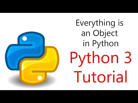 8 Python Programming Everything Is An Object