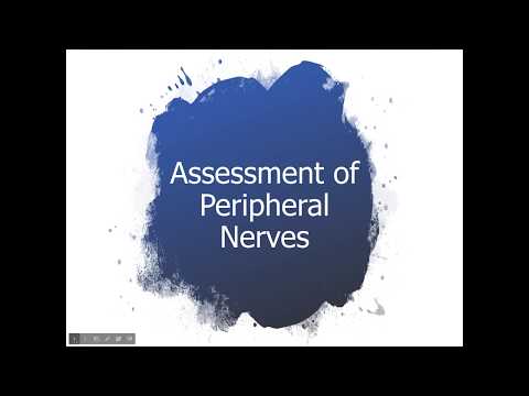 Neuroanatomy: Assessment of Peripheral Nerves