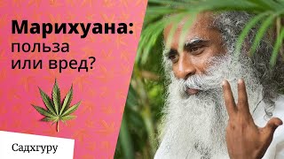 Ссылка