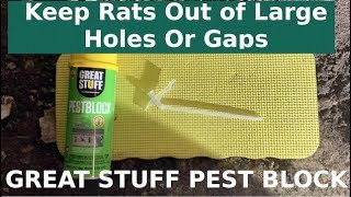 Keep Rats out of Large Holes or Gaps Using Great Stuff Pest Block