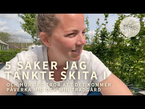 TJUVA TOMATER?? 5 saker jag tänkte skita i trädgården i år (och kanske du också?) 🤷🏼‍♀️