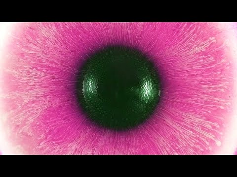 Magics with ferrofluid | Magnetic Games