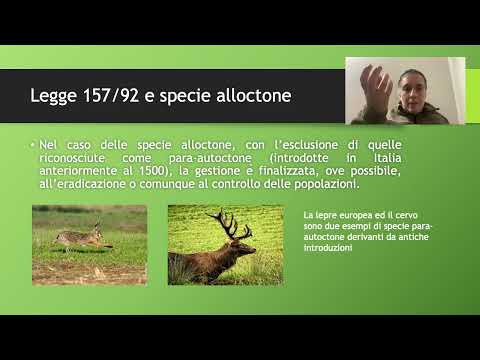 Corso ENCI 3 biologia della fauna
