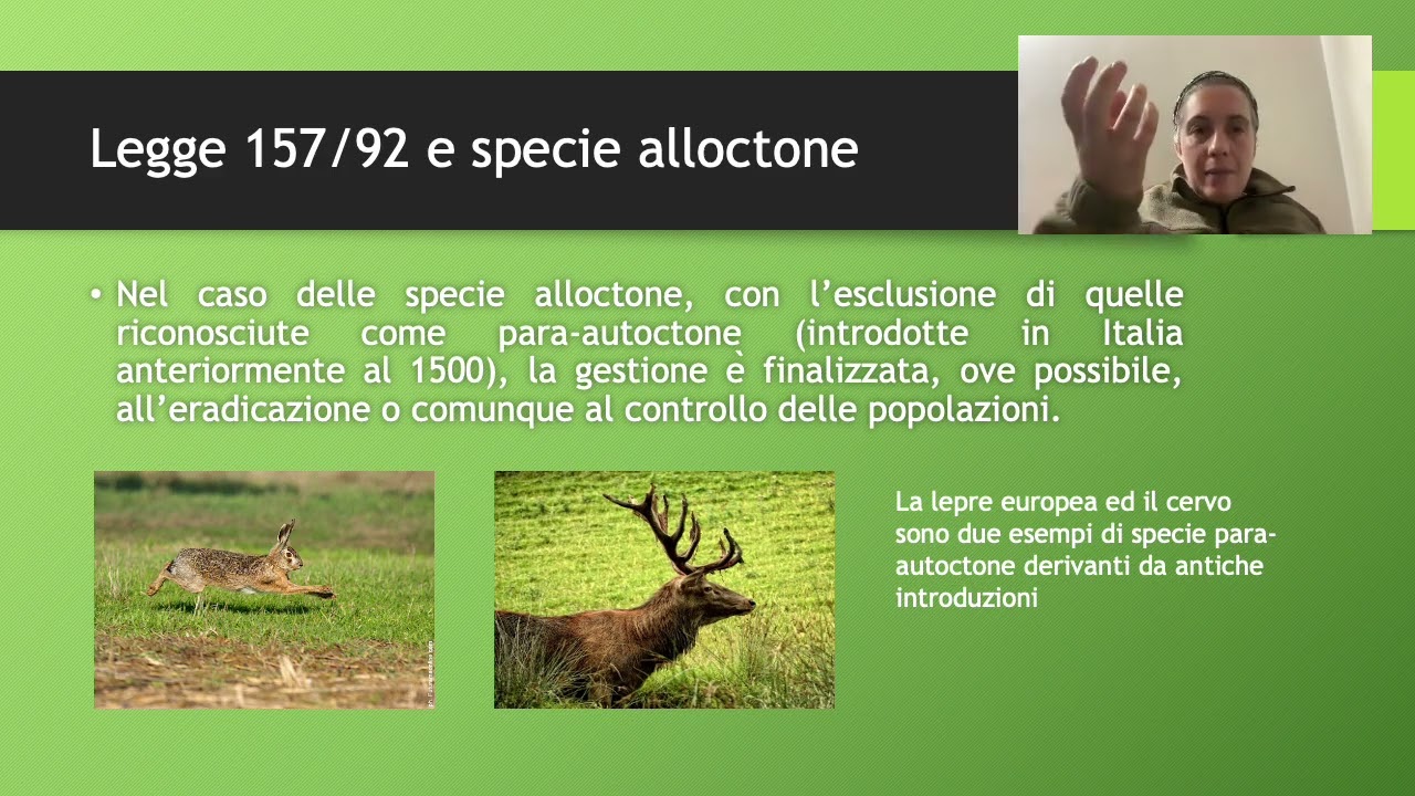 Corso ENCI 3 biologia della fauna