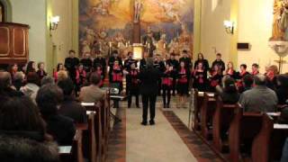 Burgenländischer Landesjugendchor   Its Time to leave