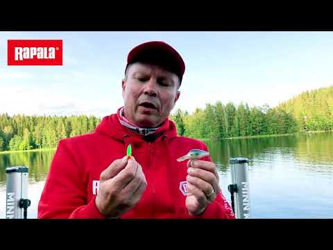 Rapala ProGuide vinkki: kesäahven viehevinkit ála Markku Tiusanen