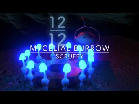 Pikmin Forever - Mycelial Burrow