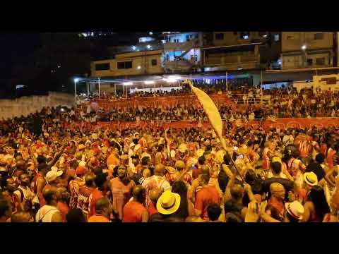 Salgueiro 1984, 1993 e Samba Exaltação "Salgueiro é Minha Raiz" (8K)