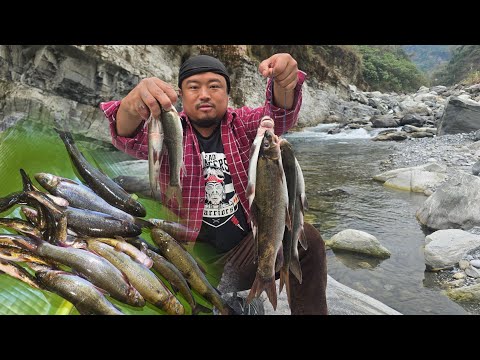 Arunachal pradesh  Rare Himalayan Trout fishing @bakyuvlogs @durlovRX100 