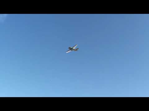 Beautiful Vintage Globe Swift Doing Low Pass