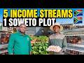29 Year Old Ngcebo Runs 5 Income Streams On 1 Tiny Soweto Plot
