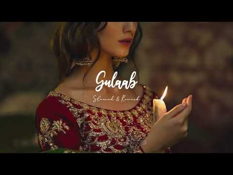 Gulaab - MITRAZ [Slowed & Reverb]