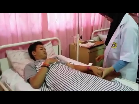 Dampak dibazola pada potensi Exciter untuk tindakan cepat dari wanita dalam daftar apotek