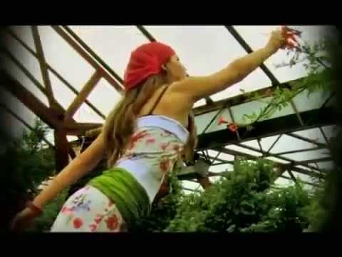 IN VIVO - NIJEDNA SAD