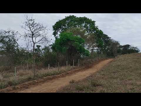 Córrego Santa Barbara - São Félix de Minas 