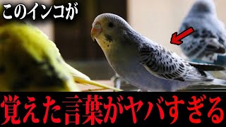 【衝撃】日常にまつわる意味が分かると怖い話がツッコミどころ満載だったwwwwww傑作選#89【なろ屋】【ツッコミ】