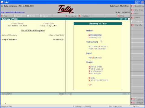 Tally Tutorial in Urdu 9/32