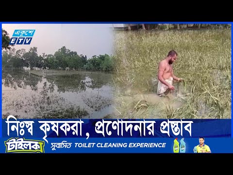ময়মনসিংহে আকস্মিক বন্যায় কৃষিখাতে ক্ষতি প্রায় সাড়ে ৩শ কোটি টাকা