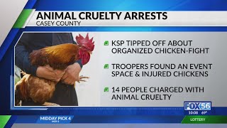 14 charged in connection with Casey County chicken fighting event