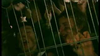 Rednex-Cotton Eye Joe.2002.avi