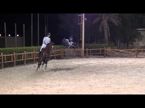 Quidamo's Valentine - 25/10/14