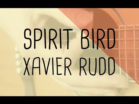 Spirit Bird - Xavier Rudd